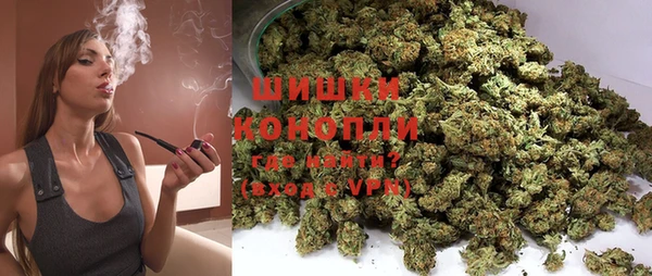 таблы Новозыбков