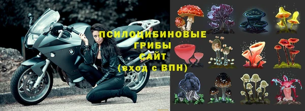 таблы Новозыбков