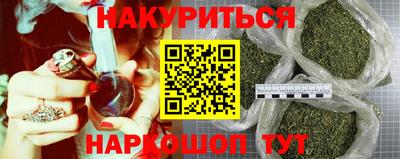 шишки Аргун