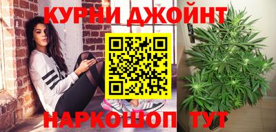 шишки Аргун