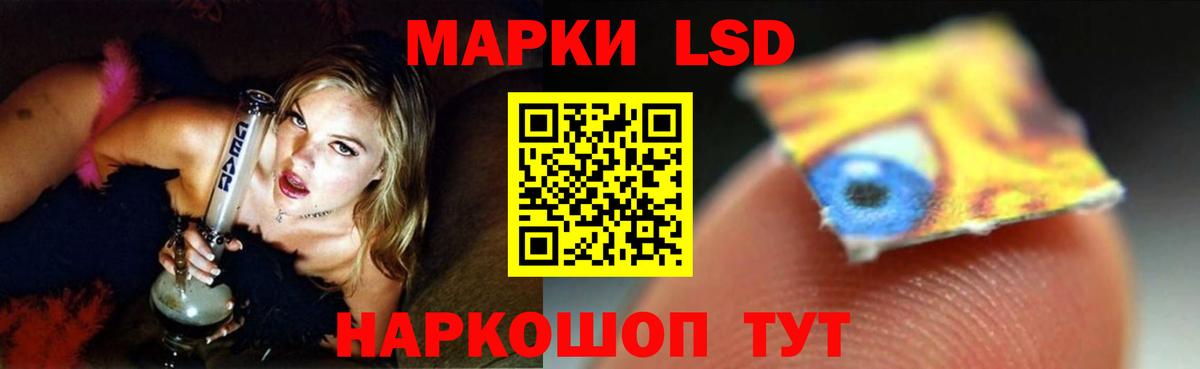  COCAIN Борзя