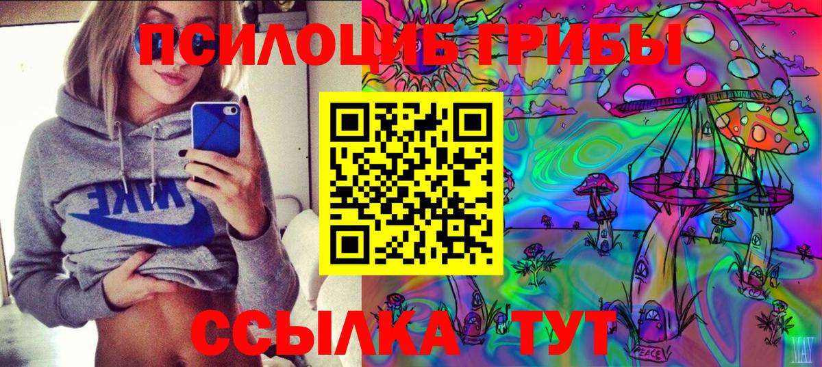 Галлюциногенные грибы Cubensis  Борзя 