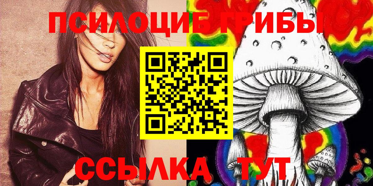 Галлюциногенные грибы Cubensis Борзя