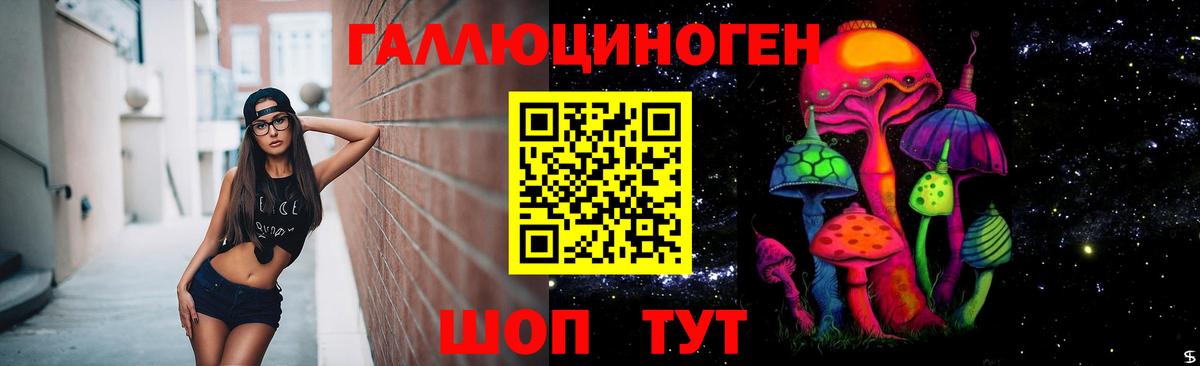 Псилоцибиновые грибы GOLDEN TEACHER Борзя